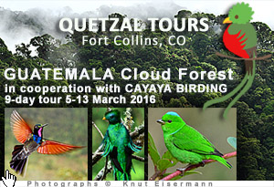Quetzal Tours Guatemala