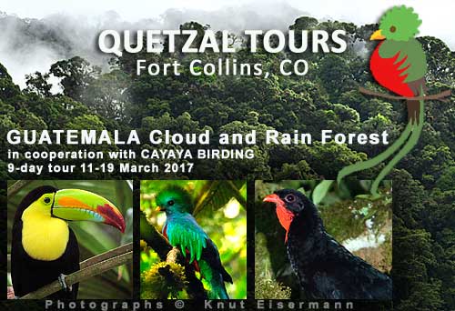 Guatemala, Quetzal-Tours, Colorado