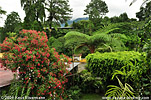 Finca Las Nubes
