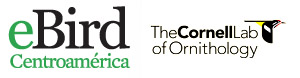 Ebird Logo