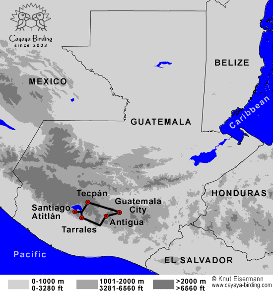 Pacific and Highland Endemics Guatemala