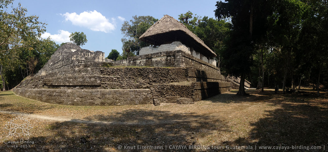 Yaxhá archaeological site, CAYAYA BIRDING Tikal & Yaxhá tour