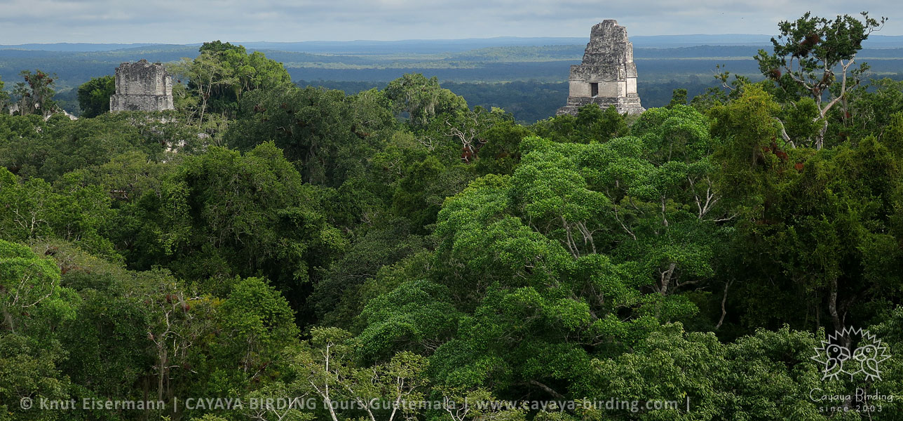 Tikal is UNESCO natural and cultural world heritage site.