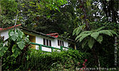 Lodging at Ranchitos del Quetzal