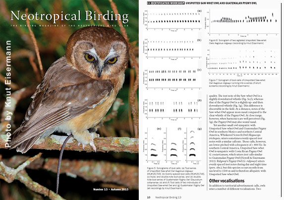 Recent publications of CAYAYA BIRDING staff