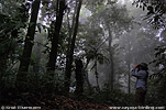 Los Andes cloudforest