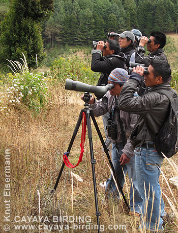 Capacitaci&oacute;n de gu&iacute;as locales de observaci&oacute;n de aves en San Marcos