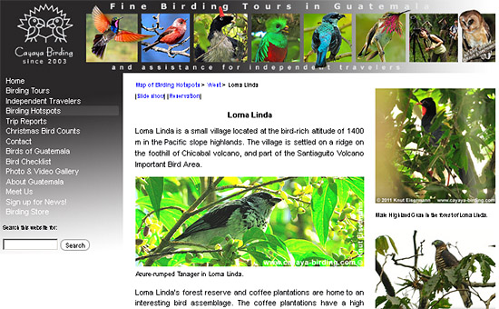 Sitio web de CAYAYA BIRDING