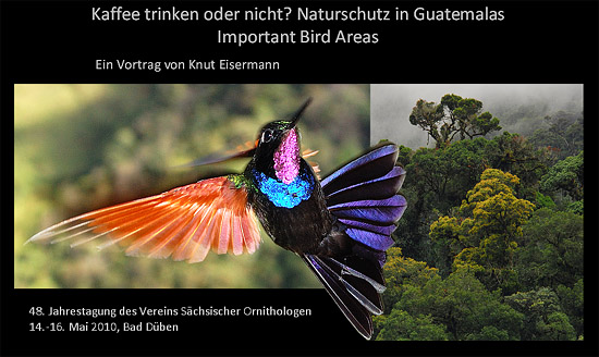 Presentaci&oacute;n sobre aves de Guatemala