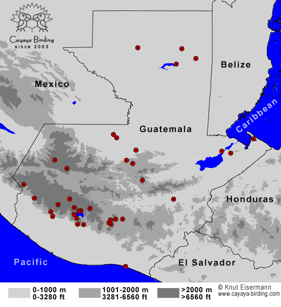 Guatemala Birding Hotspots