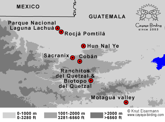 Guatemala Birding Hotspots