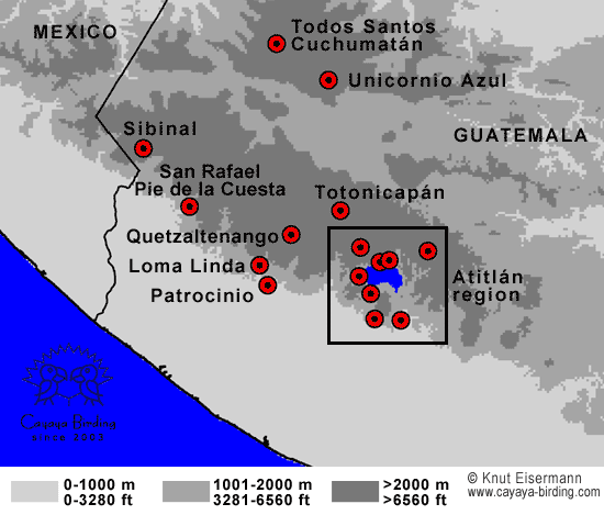 Guatemala Birding Hotspots