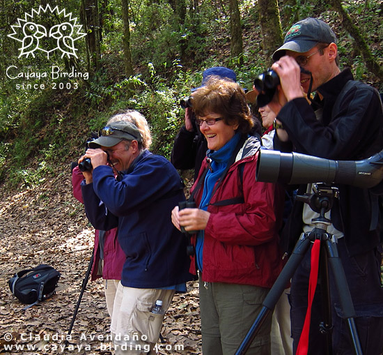 Cayaya Birding group