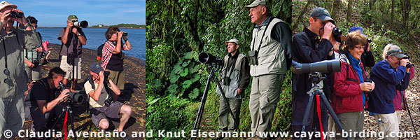 CAYAYA BIRDING tour groups watching birds in Guatemala