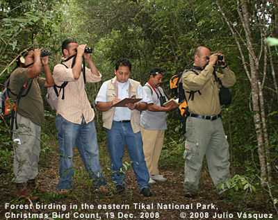 Grupos de observadores durante el conteo navideño de aves en Tikal.