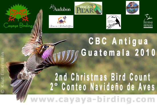 CBC Antigua 2010.