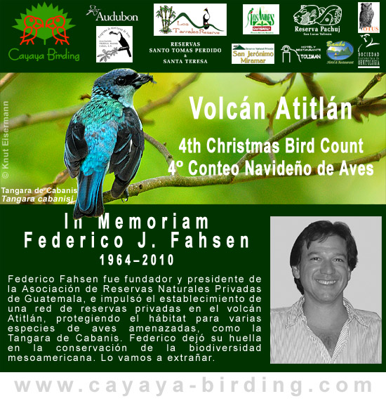 Conteo Navideño de Aves Volcán Atitlán 2010