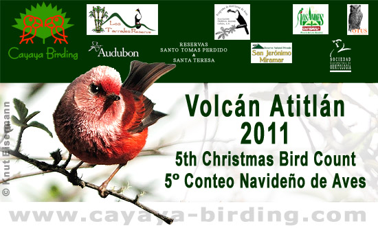 Conteo Navideño de Aves: Volcán Atitlán 2011