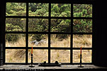 Daytime view from the dining room in Unicornio Azul lodge.