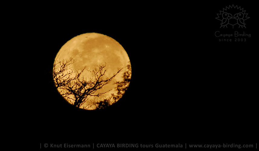 Rising full moon in the highlands of Guatemala.