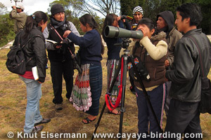 Bird Guide Training