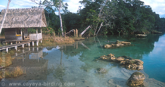 Laguna Lachua