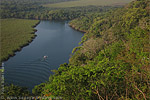 Forest of Laguna del Tigre National Park