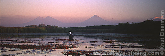 Dawn in an estuary in Monterrico