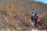 Motagua valley dry scrub