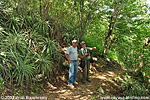 Motagua valley dry scrub