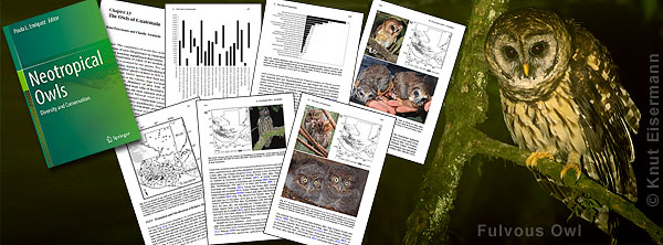 Eisermann, K. & C. Avendaño (2017) The owls of Guatemala. 447-515 in P. L. Enríquez (ed.) Neotropical owls: diversity and conservation. Springer, Cham, Switzerland.