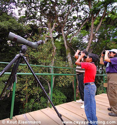 observation tower at Patrocinio Reserve