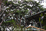 Observation tower in the Patrocinio Reserve