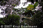 The observation tower in the Patrocinio Reserve ...