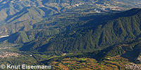 Forest of La Carmona mountain