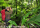 birding in cloud forest Sanimtacá