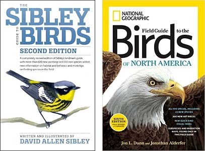 Sibley, National Geographic, birds of North America