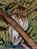 Male rufous morph Bearded Screech-Owl