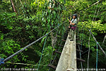 Hanging bridge