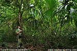 Hacienda Tijax rainforest