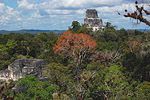 Tikal