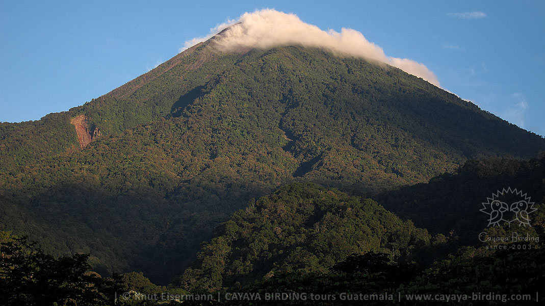 Atitlan volcano, CAYAYA BIRDING relaxed Volcano - Mangrove - Birding - Tour in Guatemala
