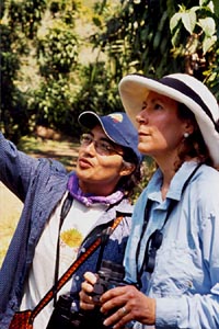 Birding in Tarrales