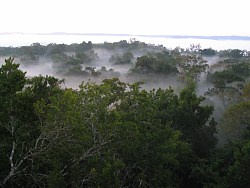 Dawn over the canopy in Yaxhá.