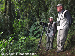 Birders in cloud forest